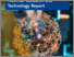 [thumbnail of ftb_2026_en.pdf]